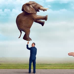 Download Gradle for java developers Course