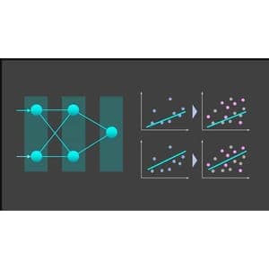 Data Science for Everyone