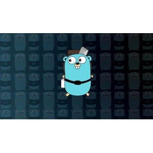 Go – Explained: From Zero to Expert!
