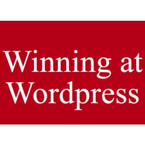 Download Brand and Bloom Designs – Winning at WordPress Course