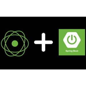 Build Reactive MicroServices using Spring WebFlux/SpringBoot 2022-11/2024-11