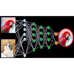 A deep dive in deep learning ocean with Pytorch & TensorFlow