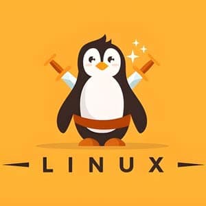 Master Linux: Boost Your IT Career!