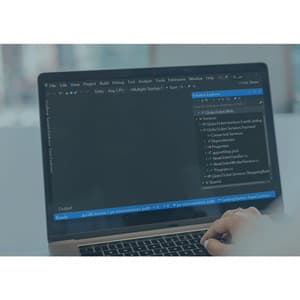 ASP.NET Core 3 Microservices: Getting Started