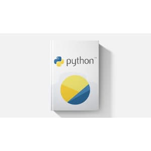 Python: The Professional Guide For Beginners (2025 Edition)