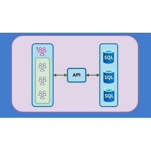 Advanced .NET Web API: Multi-Tenant Applications (NEW)
